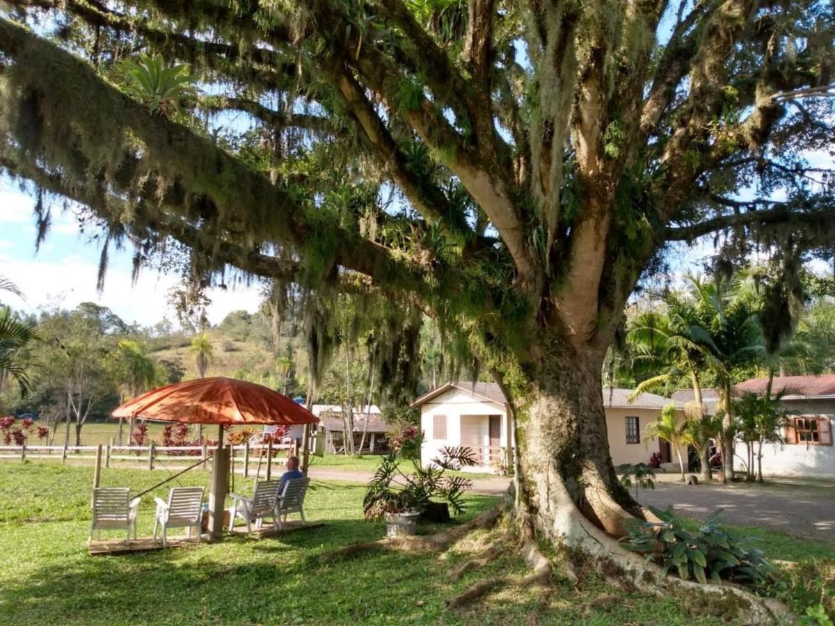 מלון טורס Sitio Vo Inacio - Casa Inteira מראה חיצוני תמונה